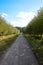 Empty path going into the distance into perspective in the summer garden