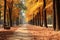 an empty path lined with trees in the middle of an autumn day