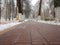 Empty paved path in the park in the fall during the snowfall.