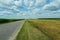 An empty paved road passes through a cornfield. Corn grows on the side of the road. Empty background, space for text. New asphalt