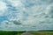 An empty paved road passes through a cornfield. Corn grows on the side of the road. Empty background, space for text. New asphalt