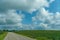 An empty paved road passes through a cornfield. Corn grows on the side of the road. Empty background, space for text. New asphalt