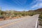 Empty paved road in Saguaro NP near Tucson AZ US