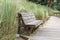 An empty peaceful bench with tall grass behind it with no one on it at the Wright family park in Bluffton, South