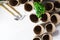 Empty peat pots with instruments for seedling