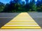 Empty pedestrian crossing transportation background