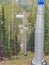 Empty of people chairlift in the summer forest