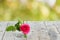 empty perspective grungy wood table top texture on blurred nature background