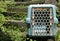 Empty pet transport box on outdoor stairs