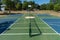 Empty Pickleball court blue and green recreational sport at an outdoor park