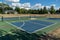 Empty Pickleball court blue and green recreational sport at an outdoor park