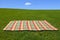 An empty picnic blanket on green grass