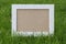 Empty Picture Frame Laying on Green Grass