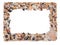Empty picture frame made with pieces of seashells with blank space inside, isolated on a white background