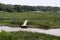 An empty pier at a freshwater marsh at the Russell W. Peterson Urban Wildlife Refuge in Wilmington, Delaware