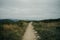 empty pilgrim trail in galicia, spain