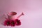 Empty pink watering can with three flowers of red gerberas. Next to the watering can are three crimson daisies on a pink