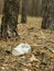 Empty plastic cup in the form of garbage in the forest thrown by man. The concept of environmental pollution by human life