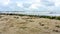 An empty plastic cup on the sandy beach at Batu Burok Beach in Kuala Terengganu