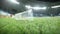 Empty plastic glass on the grass on a soccer field