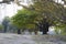 Empty playground with huge trees with their full fledged branches and leaves