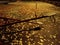 An empty playground with metal teeter at night and creepy atmosphere