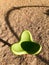 Empty playground seat made of green plastic