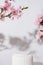 Empty podium or pedestal for cosmetics product decorated with cherry blossom twigs. Spring cosmetic template