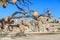 Empty pots, hanging on a tree on a background of mountains of Ca