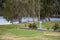 Empty powered camping site for caravans. camper trailers and motorhomes at the caravan holiday park on the lake