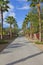 Empty Private Road lined with Palm trees