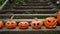 Empty pumpkins with various emotions and different sizes stand in a row on an old wooden step in front of the house.