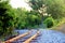 Empty rail road spur curving into a background of beautiful trees