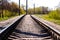 Empty Railroad Tracks Running In Forest at sunny summer day