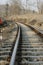 Empty Railway track passing through woods and jungles