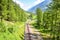 Empty railway track surrounded by green forest photographed on a sunny day. Mountains in background. Railroad, rail. Means of