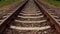 Empty railway tracks go through green field with posts under cloudy sky.