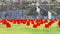 Empty red chairs arranged on green grass and in the background the walls of the castle of Gradisca D `Isonzo.