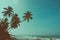 Empty remote tropical beach with exotic coconut palm trees vintage color toned