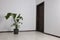 Empty renovated room with potted houseplant and black door