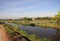 Empty rice paddy fields