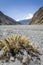 Empty riverbed in Himalaya mountains