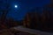 Empty road in the autumn forest on a moonlit night