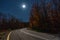 Empty road in the autumn forest on a moonlit night