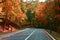 Empty road in the autumn sunny public park.