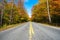 Empty road through a colourful autumnal forest and blue sky