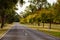 Empty road in the countryside during Autumn, Australia