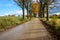 empty road in the countryside in autumn. gravel surface