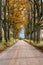 empty road in the countryside in autumn. gravel surface