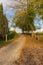 Empty road in countryside. Curve path in autumn. Camino de Santiago background. Way along the fence with Camino sign in Piemonte.